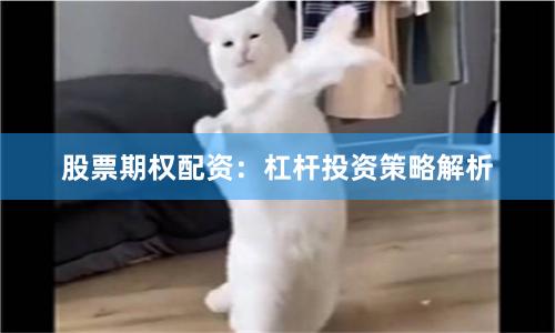 股票期权配资：杠杆投资策略解析